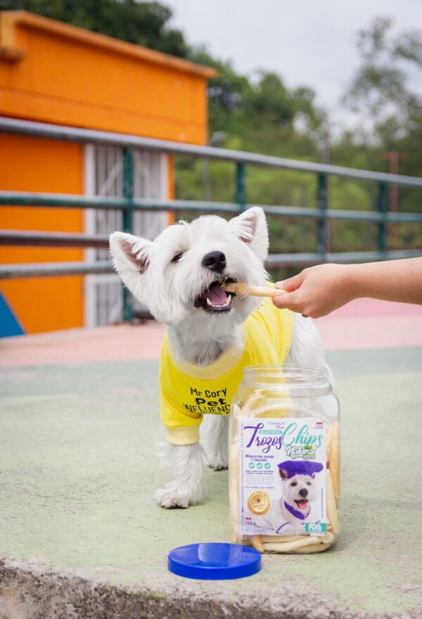 Snacks Naturales para Perros Bogota Caninos Plus Colombia