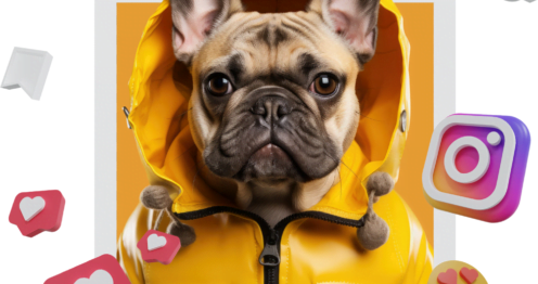 caninos plus snacks para perros
