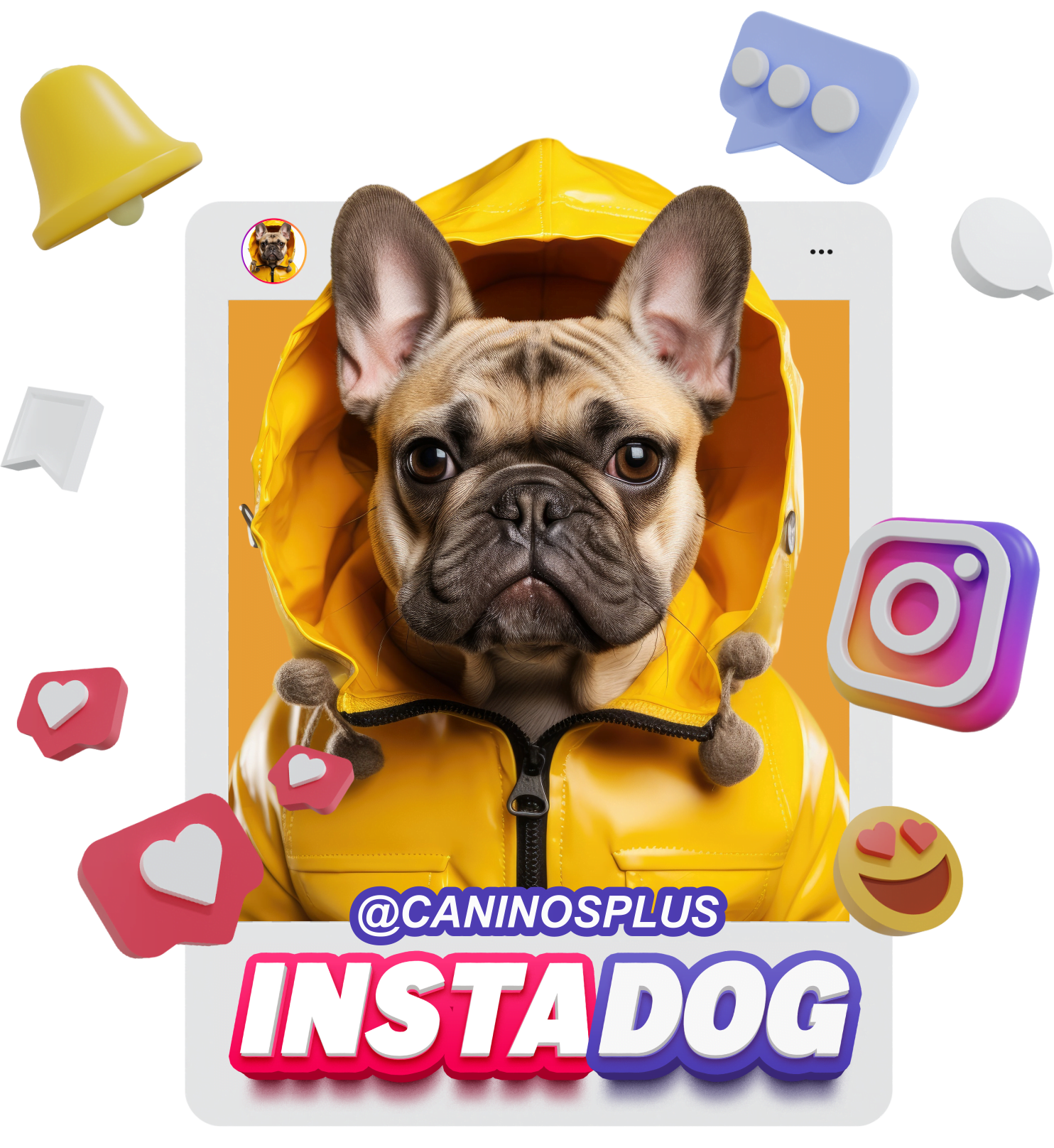 caninos plus snacks para perros