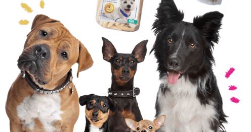 caninos plus colomiba snack natural para perros comida natural bogota 026