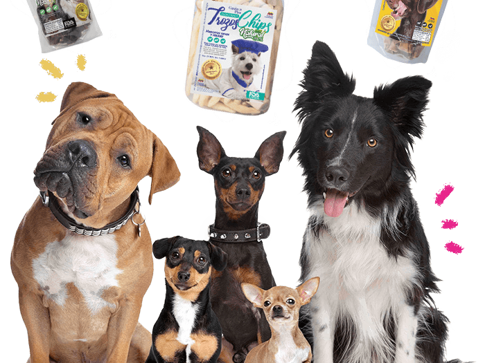 caninos plus colomiba snack natural para perros comida natural bogota 026