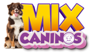 mix-caninosplus-snacks-paar-perros