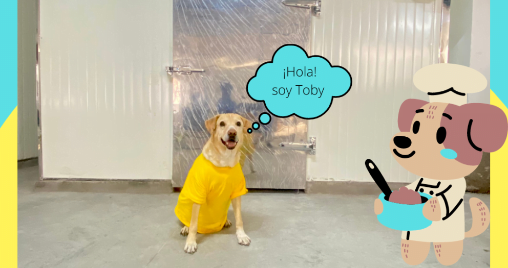 Snacks Naturales para Perros Bogota Caninos Plus Colombia
