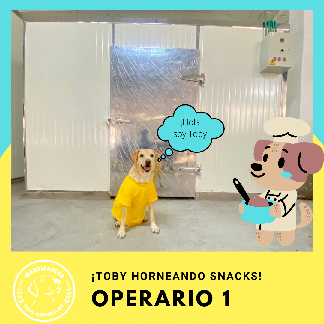 Snacks Naturales para Perros Bogota Caninos Plus Colombia