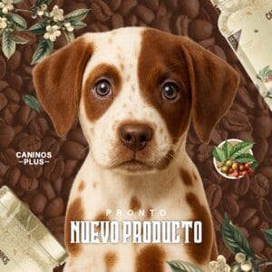 PALOS DE CAFE PARA PERROS